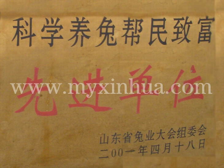 鑫華榮譽6